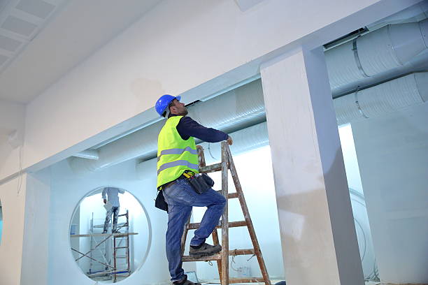 Best Basement Mold Removal  in Galena, IN
