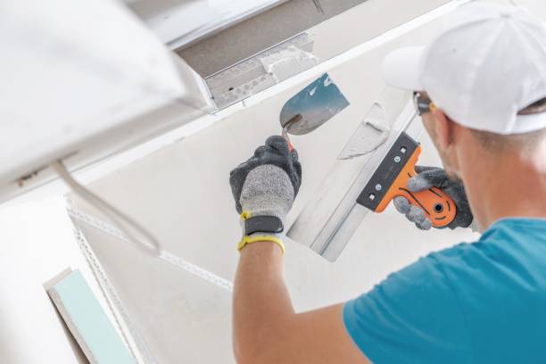 Best Environmental Consulting for Mold Prevention  in Galena, IN